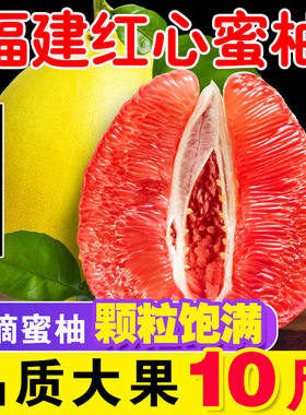 【平晏果园】福建平和红心蜜柚子