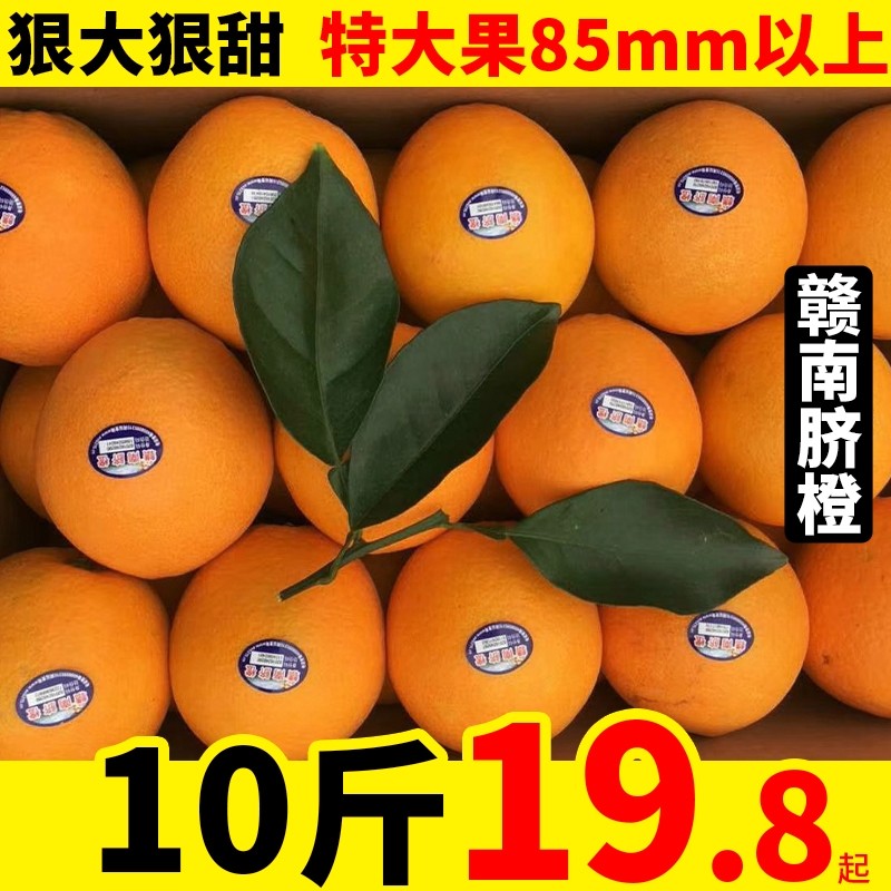 平晏果园江西寻乌赣南脐橙20斤