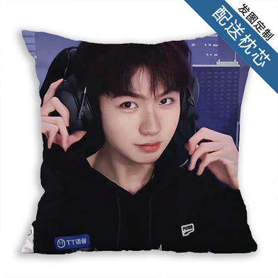 抱枕定制定制座椅沙发靠垫