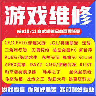 电脑机器LOL英雄联盟PUBG三角洲环境SCUM无畏契约VAL5E逆战RUST码