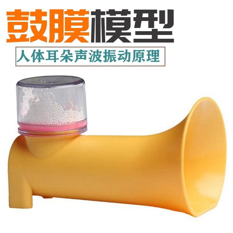 模型幼儿园教具中班科学
