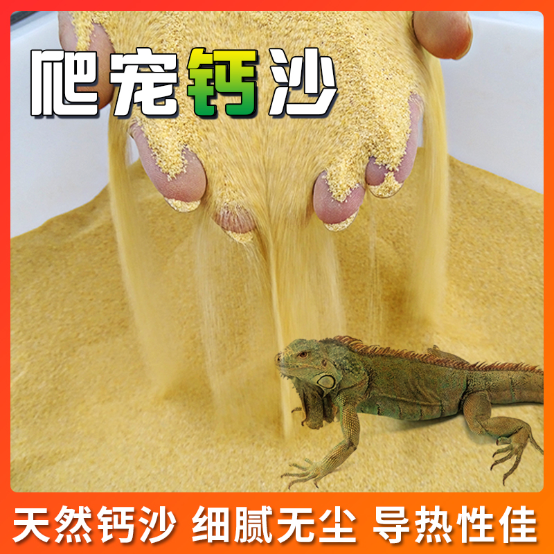 爬虫砂垫材鬃狮蜥蜴陆龟守宫用品爬宠沙饲养沙漠造景装饰钙砂宠物