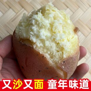 黄心土豆新鲜新土豆红皮土豆5斤9斤凉山洋芋马铃薯黄肉土豆5/10斤