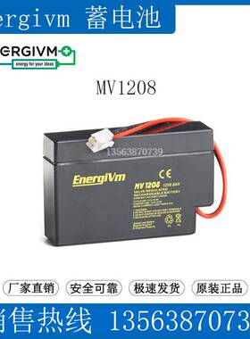 EnergiVm蓄电池12V0.8AH MV1208 医疗仪器 船舶 控制器应急系统