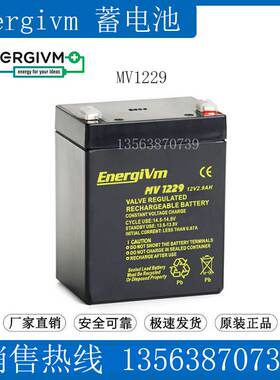 EnergiVm蓄电池12V2.9AH MV1229 医疗仪器 船舶 照明 电梯应急