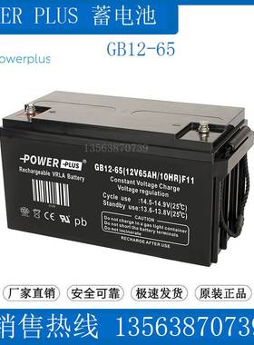 POWERPLUS蓄电池 GB12-65(12V65AH/10HR)F11 监控/消防/医疗/UPS