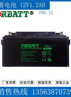 FORBATT蓄电池12V65AH FB65-12 UPS应急 医疗仪器 通讯 直流屏