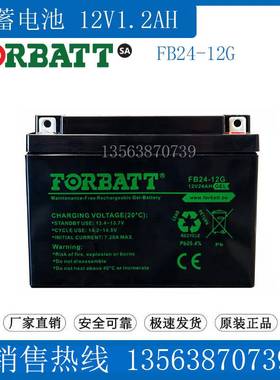 FORBATT蓄电池12V24AH FB24-12G UPS应急 医疗仪器 通讯 直流屏