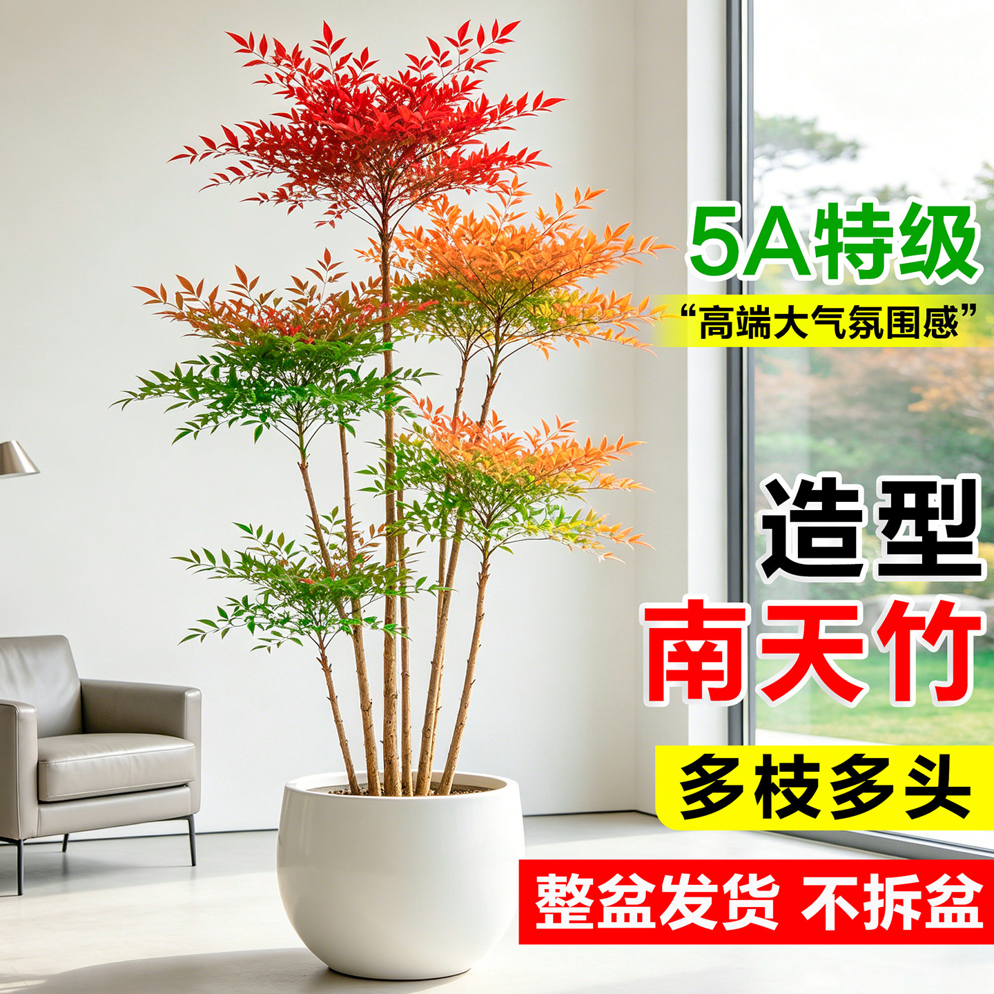 南天竹盆栽客厅大绿植高级感造型真树办公室内大型植物落地式盆景图片