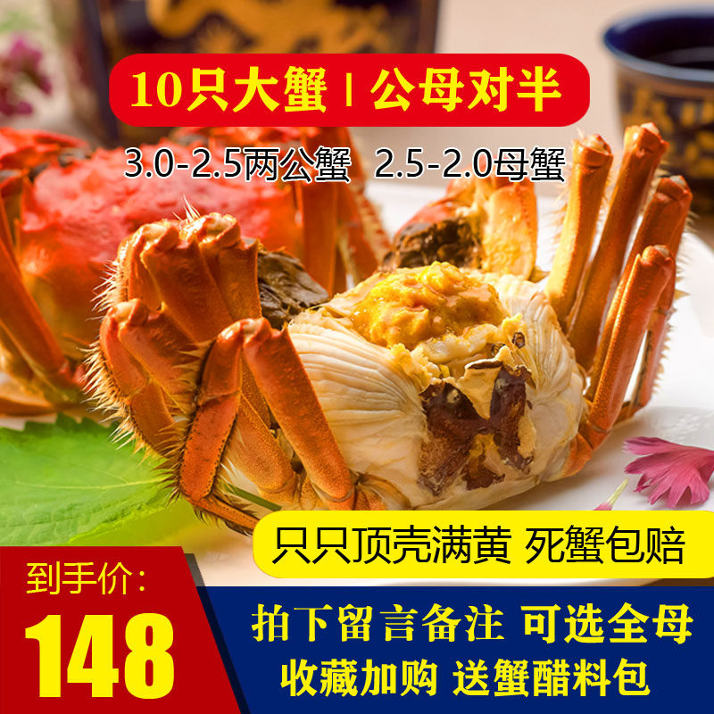 活蟹蟹旅鲜活螃蟹公2.5两母2两现货满黄洪泽湖大闸蟹10只装满黄