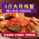 活蟹三斤断脚蟹鲜活残蟹大闸蟹现货洪泽湖河蟹新鲜螃蟹公母对半