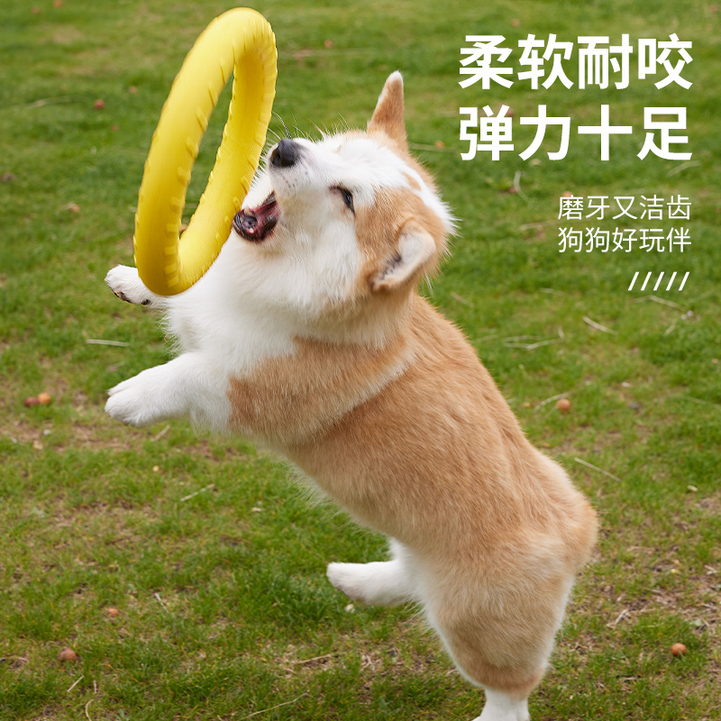 巡回飞盘训练边牧拉布拉多玩具