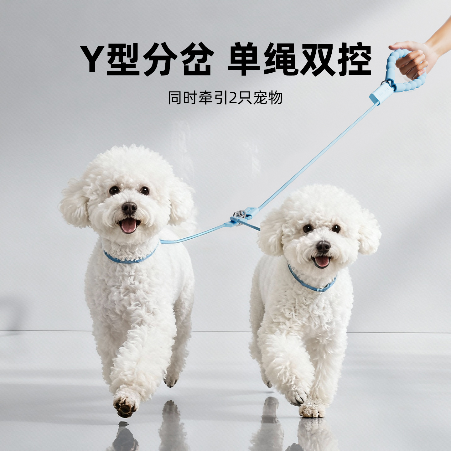 kimpets狗狗牵引绳一拖二小型犬
