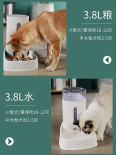 猫咪自动喂食器宠物饮水机狗粮猫粮投食器食盆碗用品喂猫喂水神器