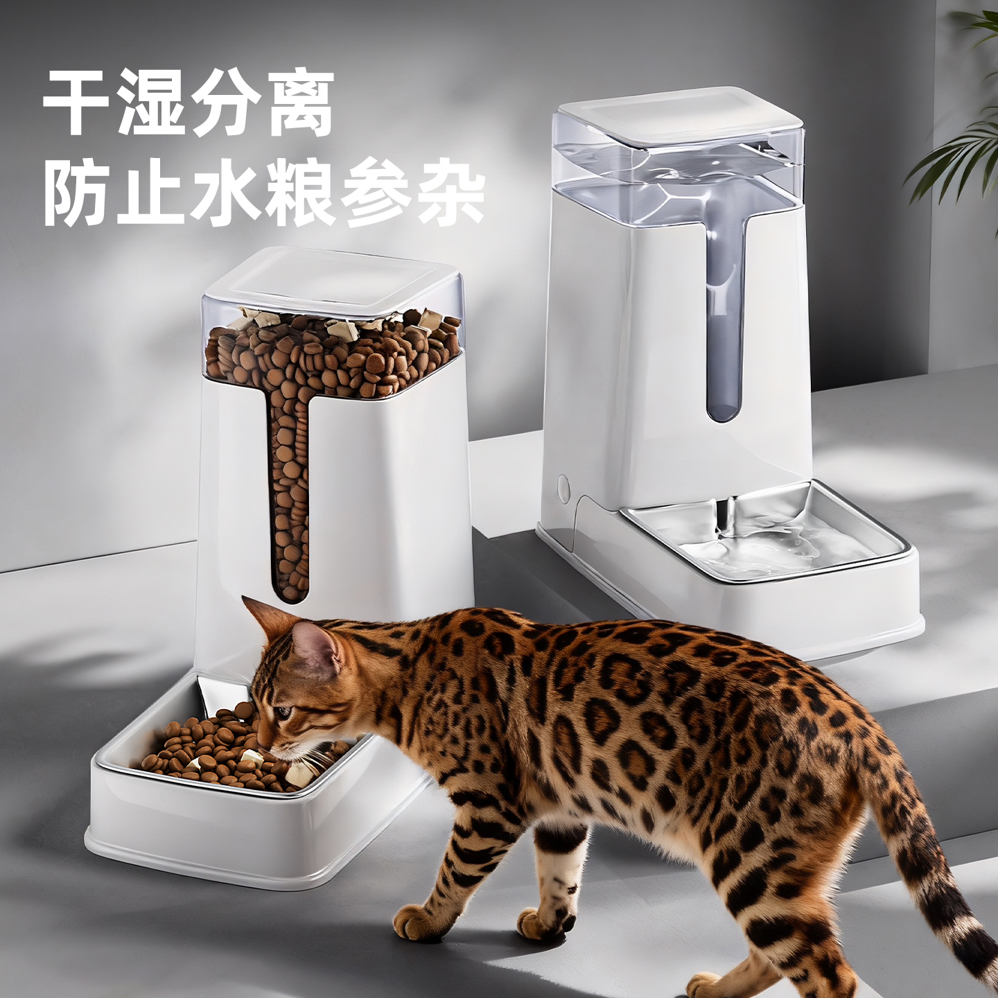 不锈钢猫碗狗碗猫咪自动喂食器
