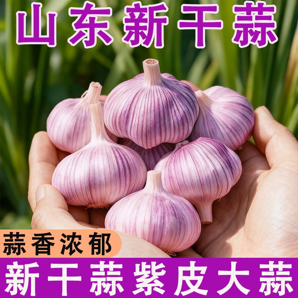 2026新蒜紫皮蒜新鲜农家干大蒜头