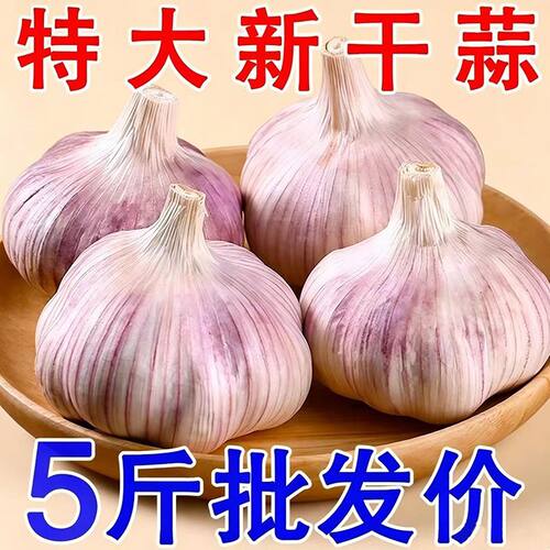 2026新蒜紫皮蒜新鲜农家干大蒜头