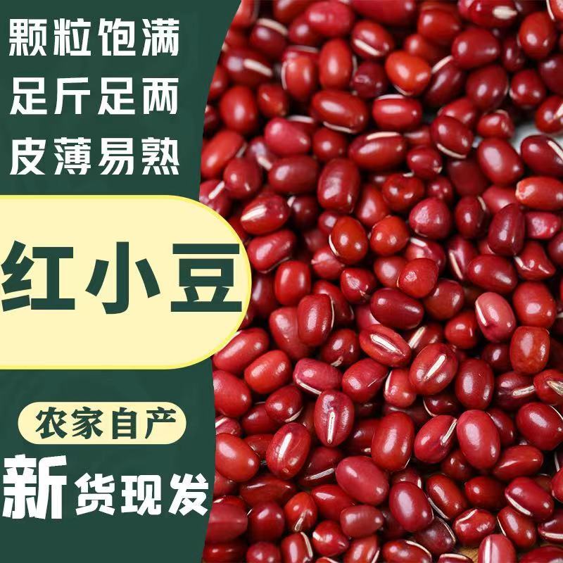 东北红小豆5斤新货农家易煮红豆