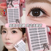 Minetook短款 女团假睫毛韩系ace爱豆日常淡颜新手单簇柔软眼睫毛