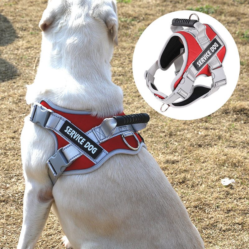 拉布拉多狗绳子金毛背心式防爆冲胸背带中型犬狗链子大型犬牵引绳,宠物/宠物食品及用品,狗牵引绳,淘宝优惠券,粉丝福利购,淘宝优惠卷