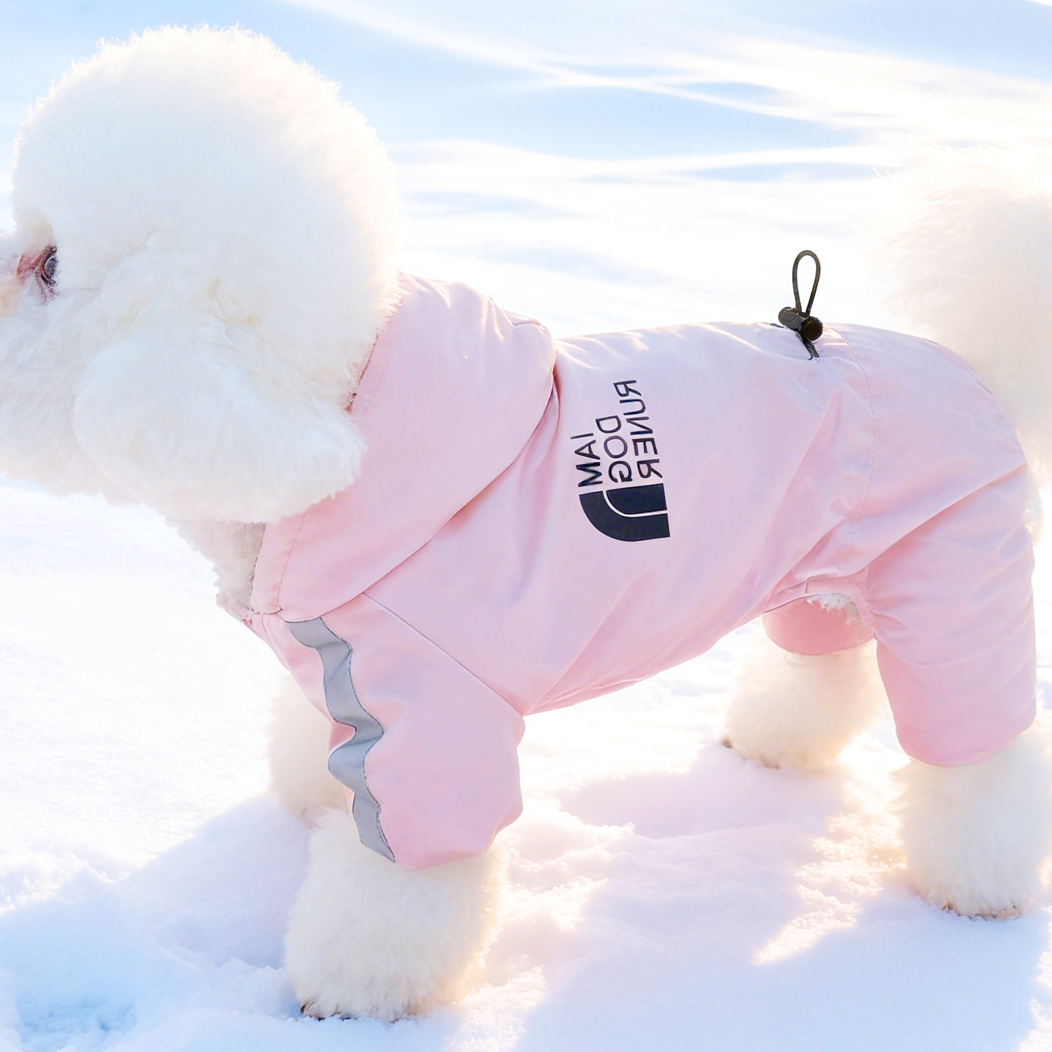 可牵引秋冬季小狗狗衣服四脚比熊棉衣博美保暖小型犬宠物衣服冬装