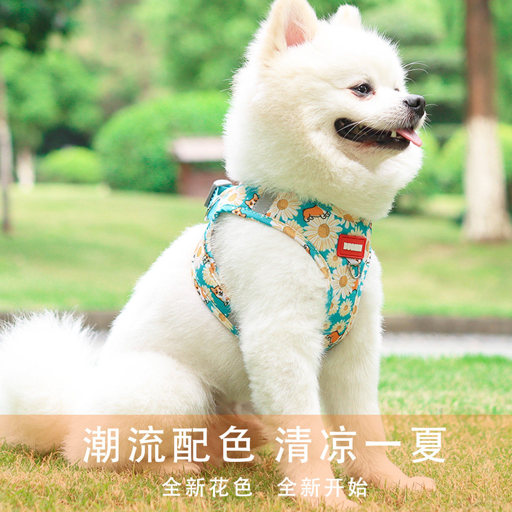 狗狗牵引绳背心式宠物用品可伸缩网红遛狗绳博美比熊小型犬遛狗绳图片