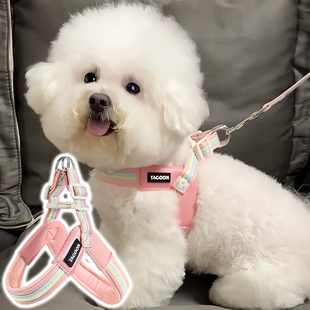 比熊泰迪博美宠物胸背带防挣脱遛狗绳子 小狗狗牵引绳小型犬背心式