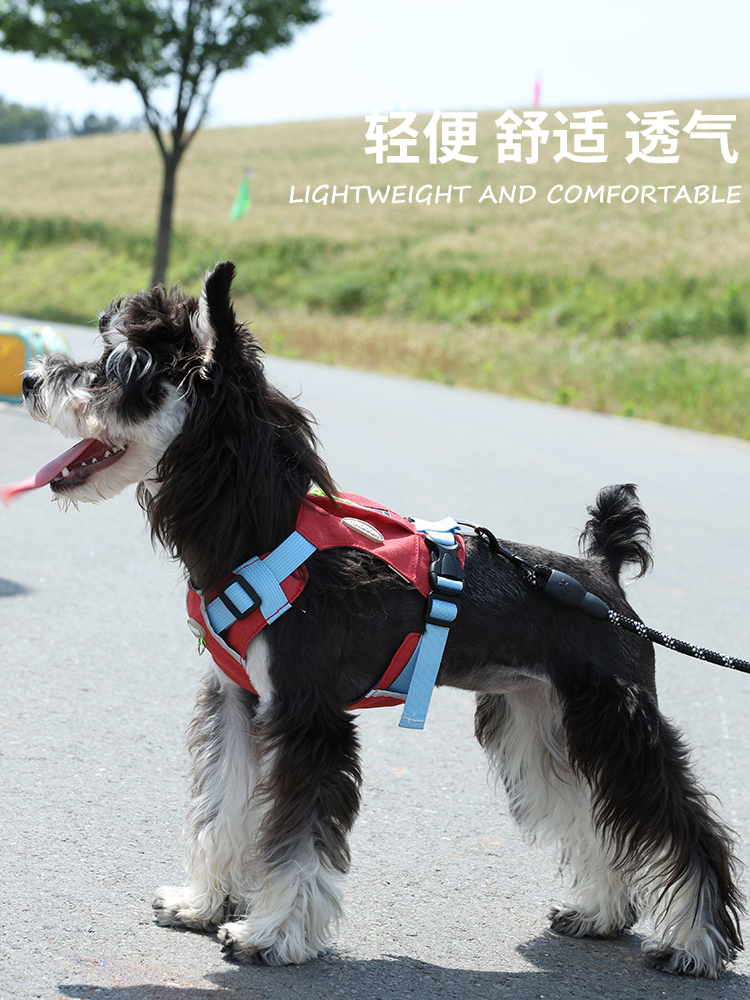 狗狗牵引绳中小型犬背心式遛狗绳比熊泰迪宠物背带狗链子防挣脱夏
