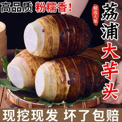 【官方授权】正宗荔浦芋头