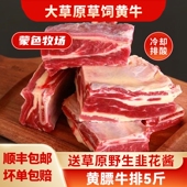 锡林郭勒蒙古草原散养黄膘牛排整切牛肋排黄牛肉牛腩肥牛片牛腱子