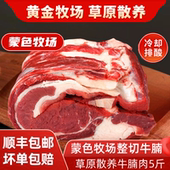 内蒙古原切黄膘牛腩正宗草原散养黄牛排肥牛生牛肉腱新鲜烧烤火锅