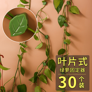 绿萝固定器绿植爬墙神器墙面绿箩固定花的卡扣爬藤吸盘攀藤勾夹扣
