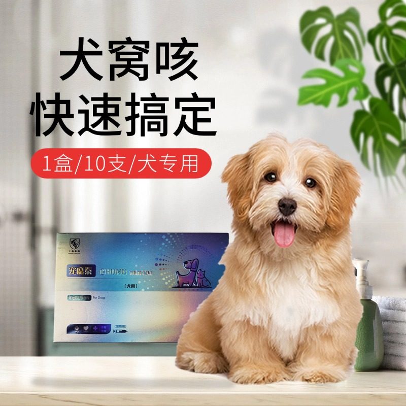 猫狗窝咳净犬窝咳专用猫咪干呕小狗流鼻涕犬窝咳植物提取呼畅净爽,宠物/宠物食品及用品,猫益生菌,淘宝优惠券,粉丝福利购,淘宝优惠卷