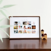 Тип B Североамериканский черный орех + семейное издание