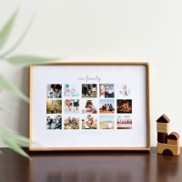 Модель B из североамериканского тика + семейная версия