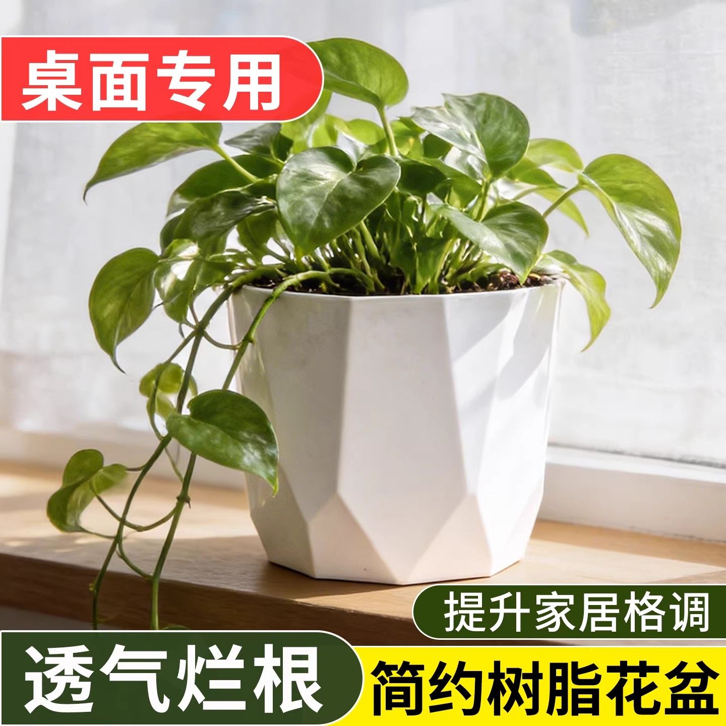 简约北欧树脂花盆塑料家用控根透气盆栽盆子绿萝蝴蝶兰多肉小花盆,鲜花速递/花卉仿真/绿植园艺,花盆,淘宝优惠券,粉丝福利购,淘宝优惠卷