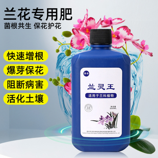 兰灵王兰花专用肥兰科营养液通用型肥料促花多箭兰菌药蝴蝶兰陵王