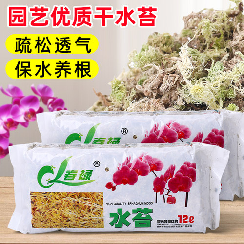 园艺干水苔蝴蝶兰专用石斛兰花营养土进口优质干苔藓乌龟爬宠垫材