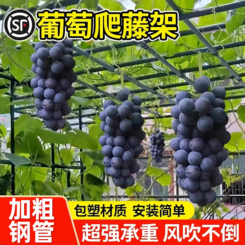 葡萄架子户外室外园艺包塑钢管支架百香果攀爬庭院西瓜番茄爬藤架