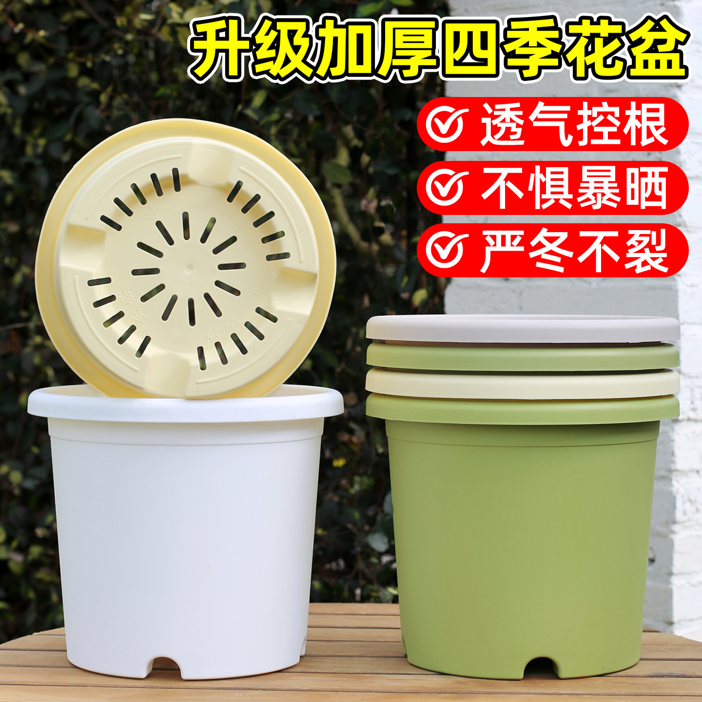 【买5送1】控根透气月季绣球花盆图片