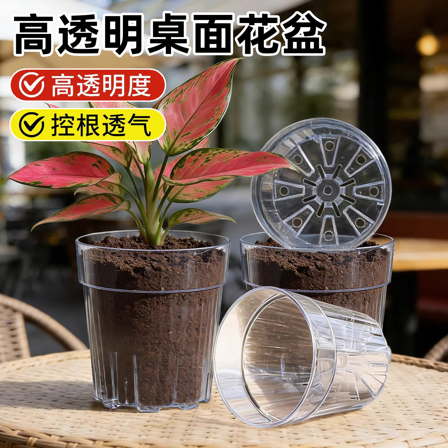 高透明桌面花盆家用透气控根空气柱蝴蝶兰多肉热植观根活性盆树脂,鲜花速递/花卉仿真/绿植园艺,花盆,淘宝优惠券,粉丝福利购,淘宝优惠卷