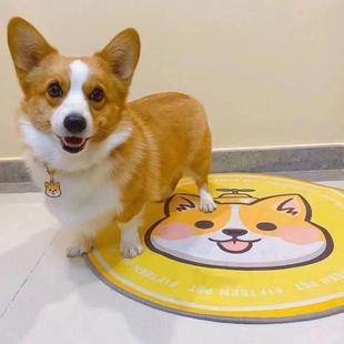 柯基幼犬狗狗犬家庭长毛两色可爱小短腿幼崽便宜真狗健康活物精品