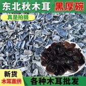 东北秋木耳批发直销饭店直供黑木耳肉厚无根无添加500g