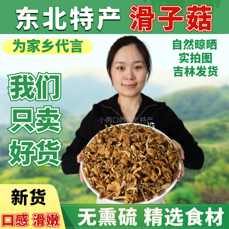 东北小黄蘑菇炖小鸡新货滑子菇蘑菇野生蘑菇500g菌类滑子蘑菇干货