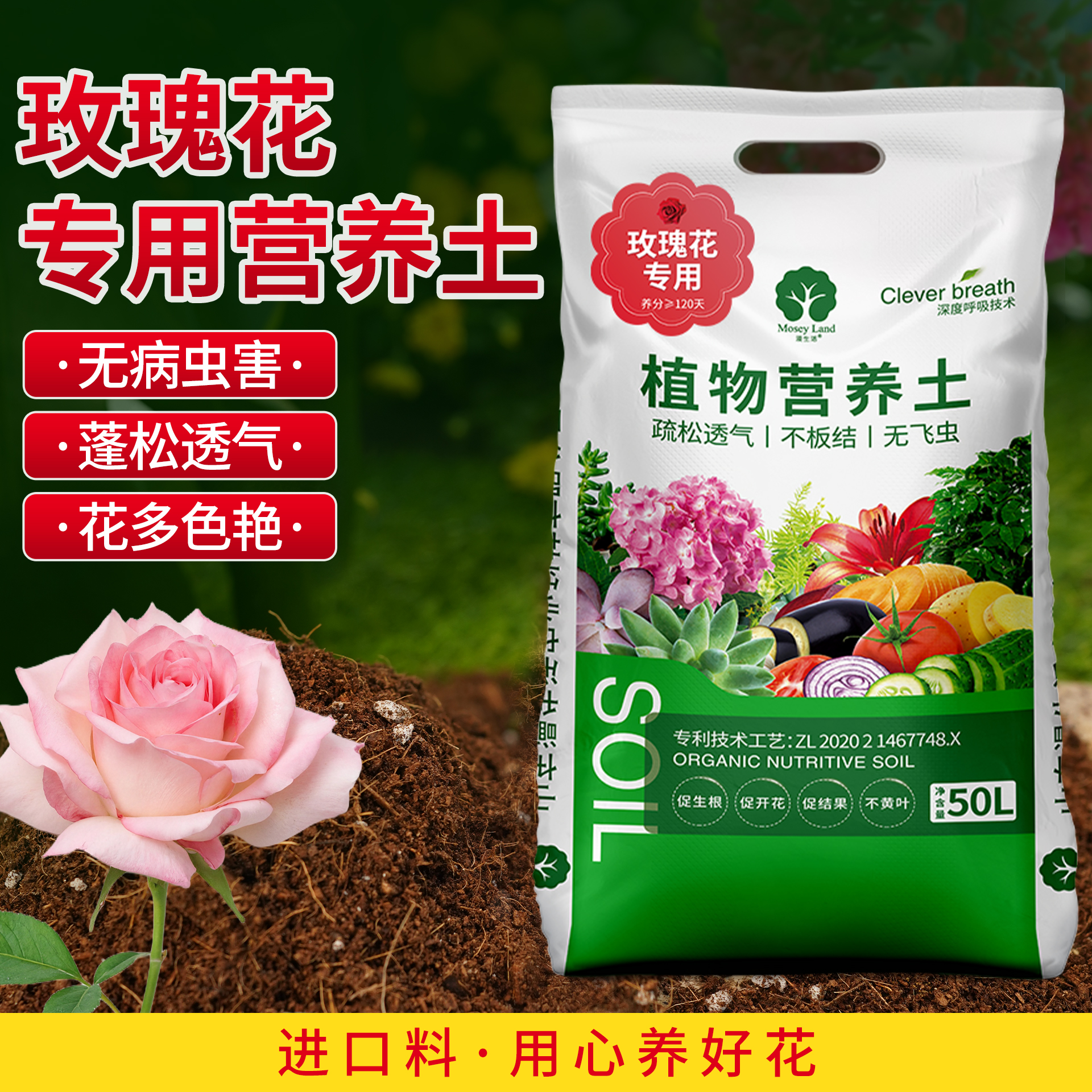 玫瑰花专用土营养肥料