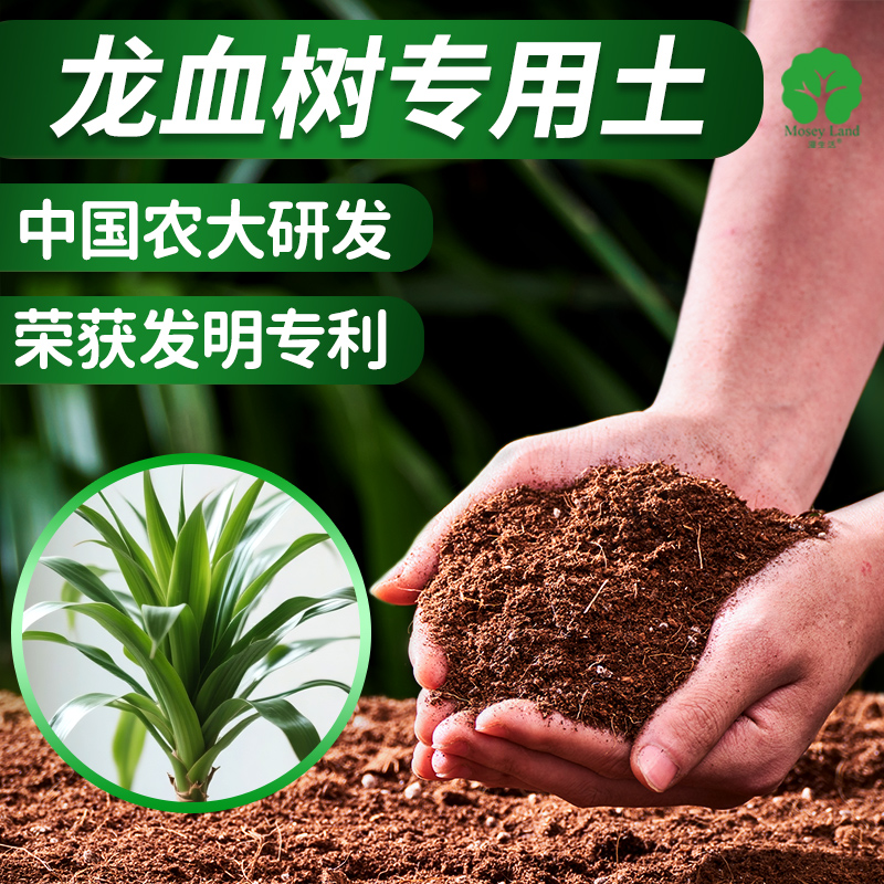 龙血树专用土营养土吸甲醛
