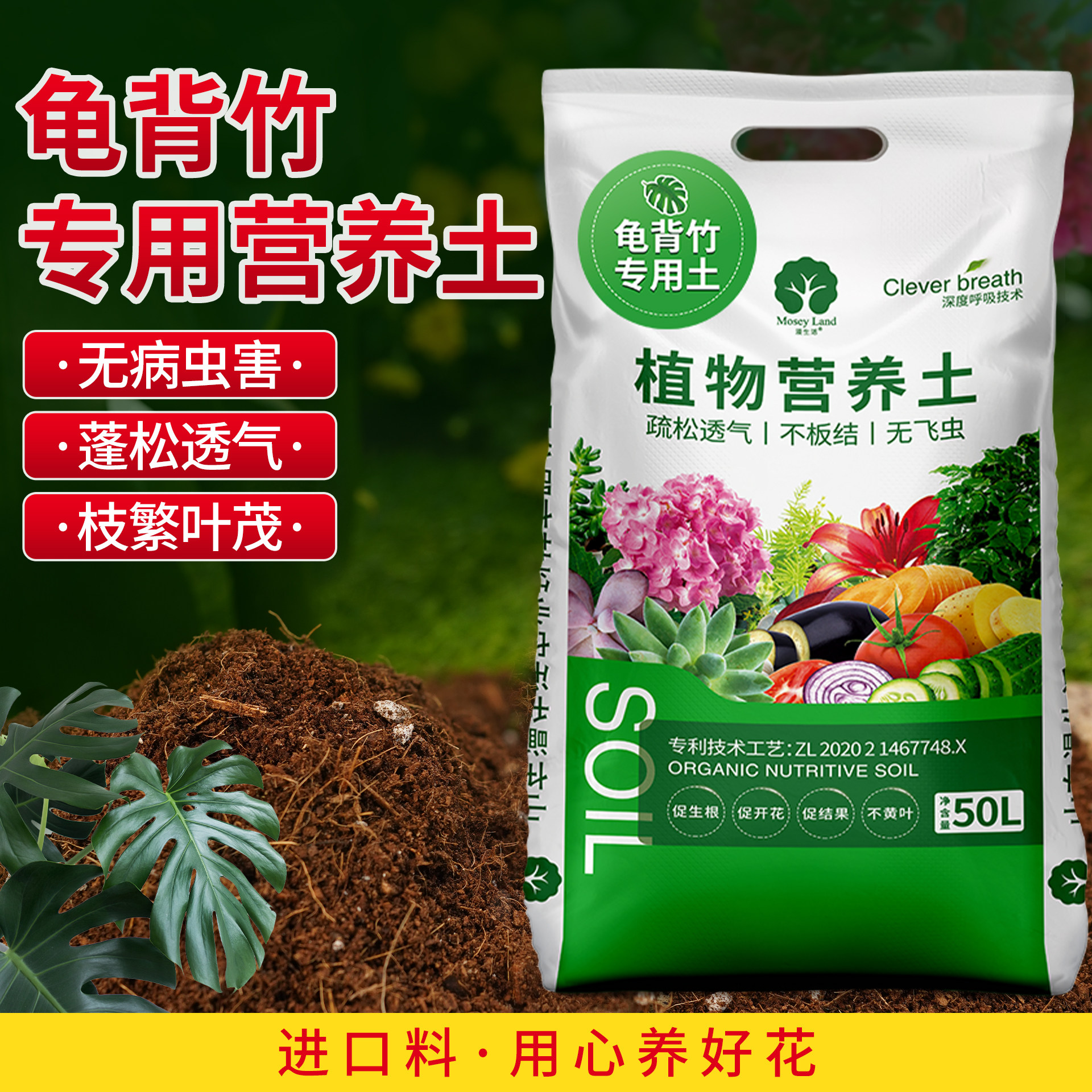 龟背竹专用土天南星科通用营养土植物种植土绿植盆栽专用透气土壤