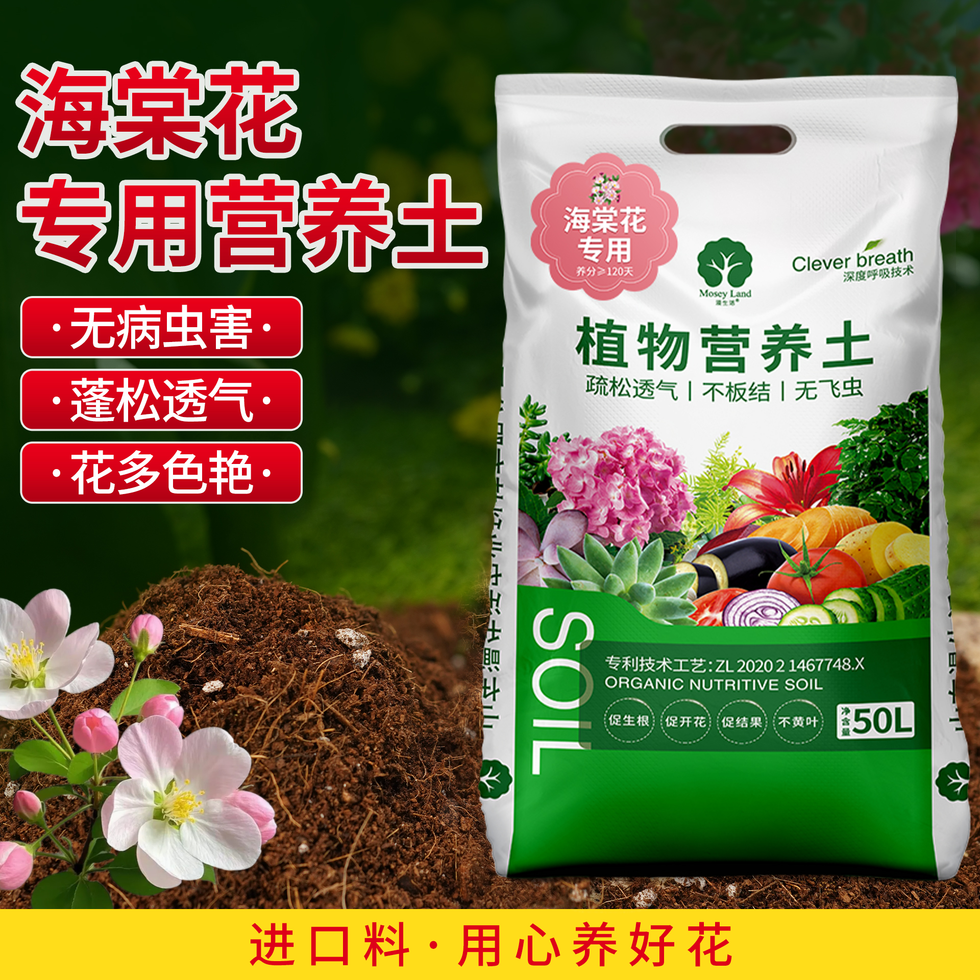 海棠花专用土营养土漫生活