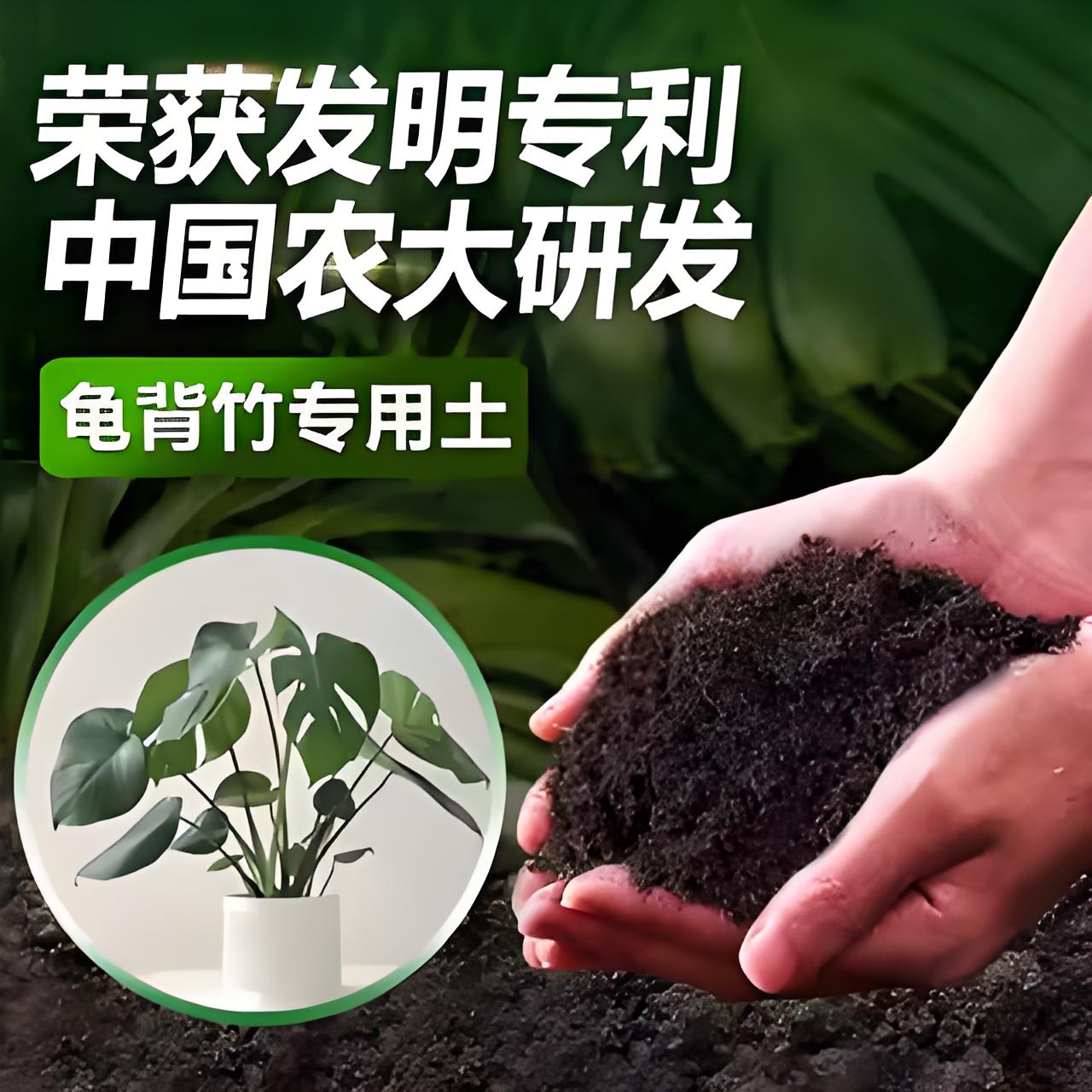 龟背竹专用土专用营养土专用肥料中国农大研发漫生活专利营养土