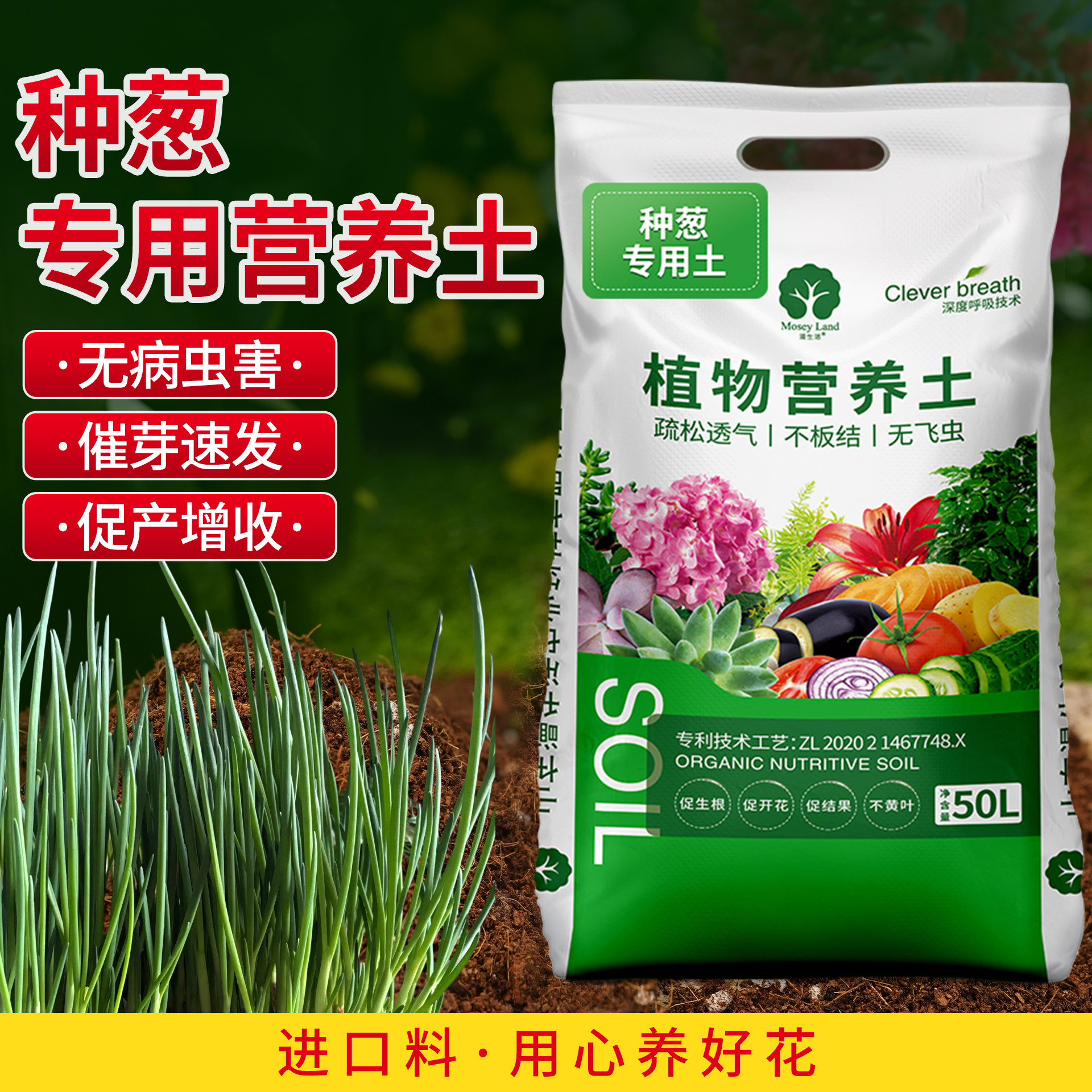 阳台种葱专用土营养土葱姜蒜专用土营养土专用肥料蔬菜盆栽专用土